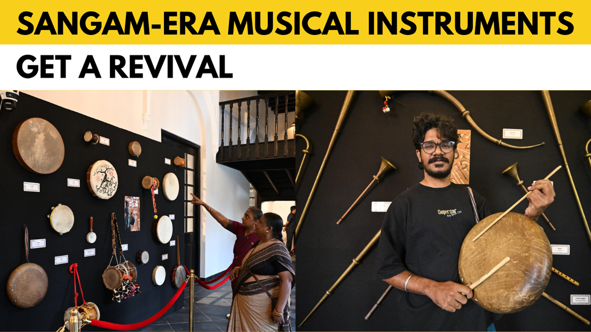 Watch: This Chennai museum displays rare Sangam-era musical instruments